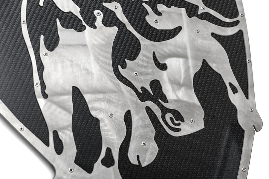 Fabspeed Carbon Fiber Wall Art - Lamborghini