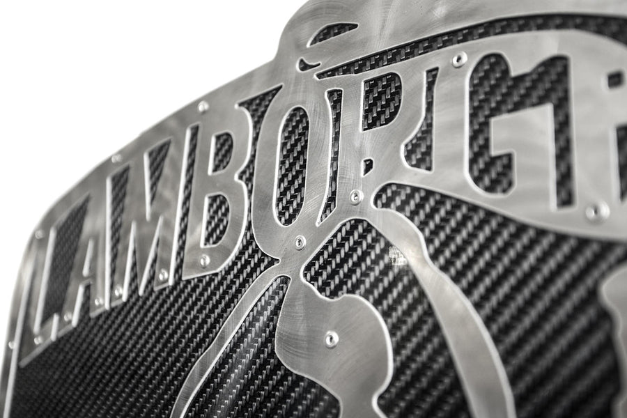 Fabspeed Carbon Fiber Wall Art - Lamborghini
